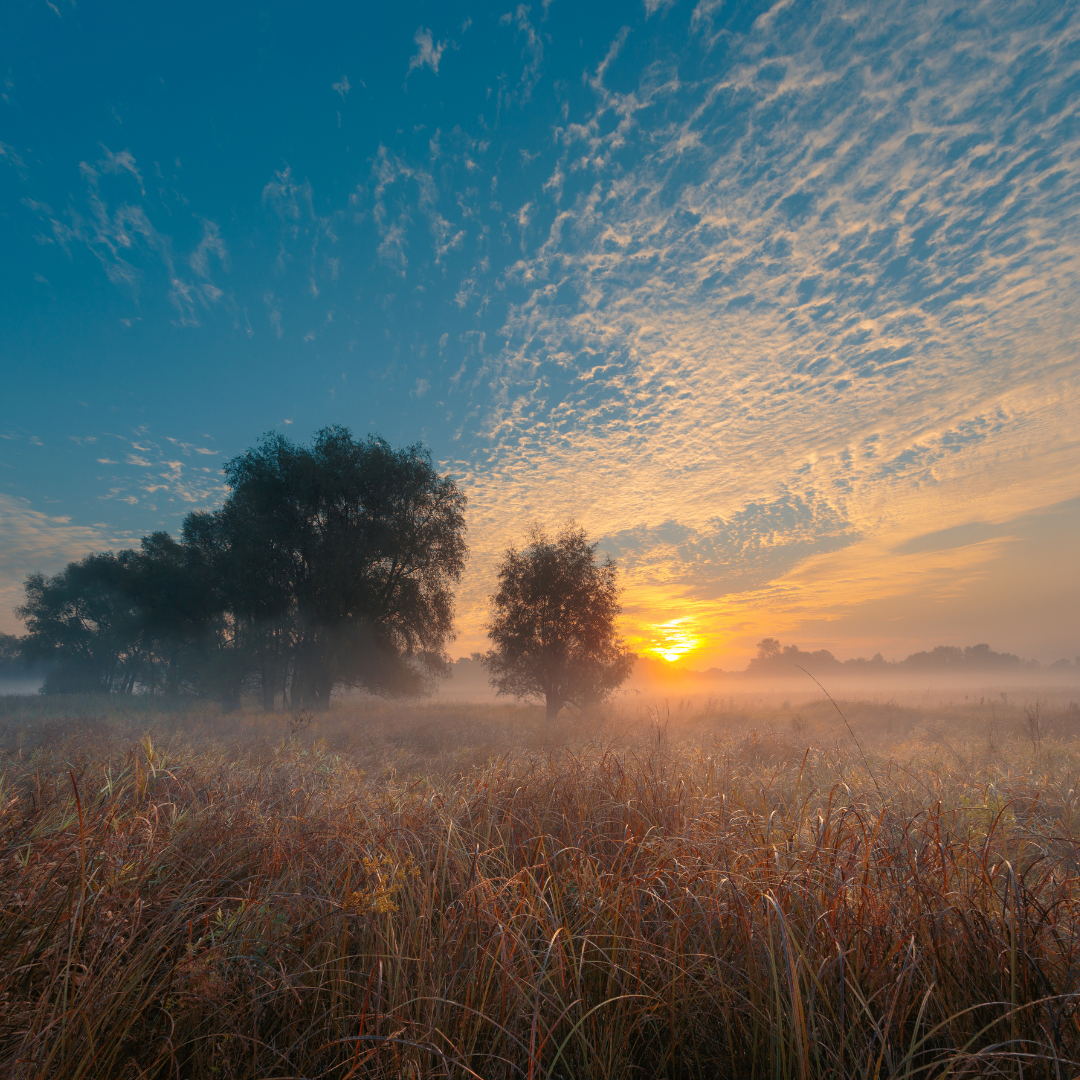 September: Beleuchtungstrends des Jahres